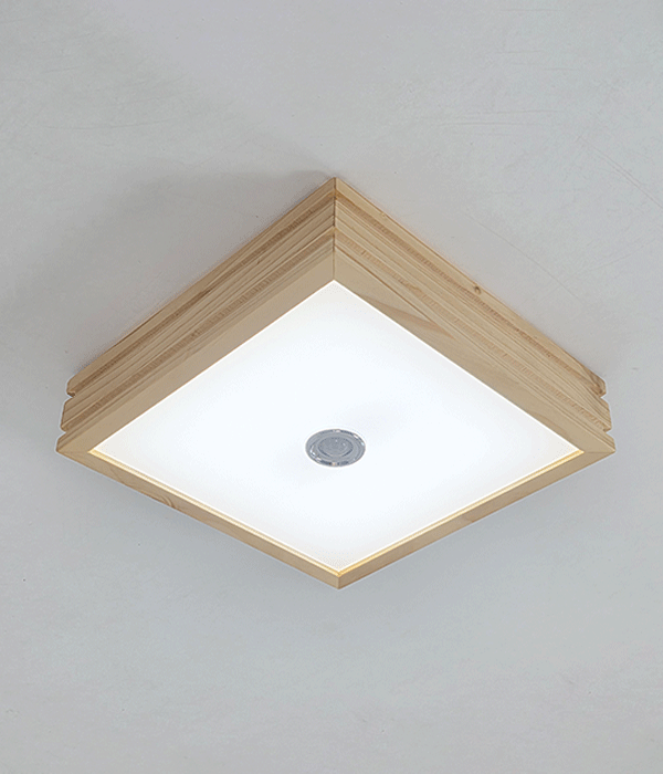 파사쥬 투라인 현관센서등 직부등 LED20W